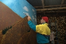 Pittura montagne (Carlo)